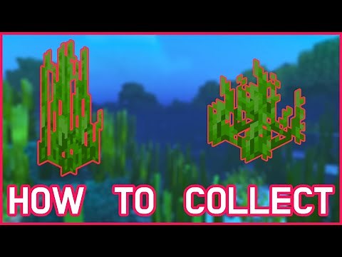 How to Collect Sea Grass In Minecraft