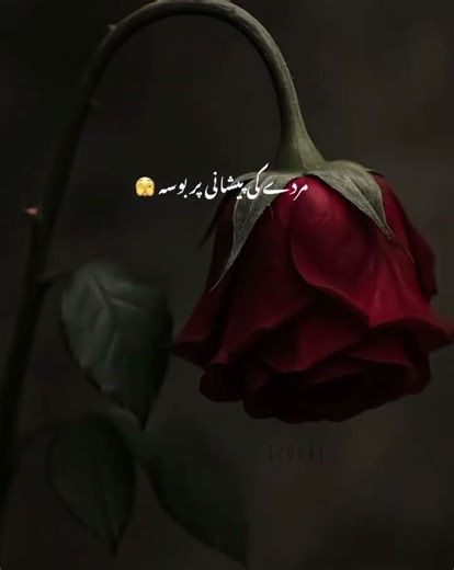 Mohabbat Aur Judaai Ka Dard | Dilon Ko Choo Jane Wali Poetry | Silent World Official