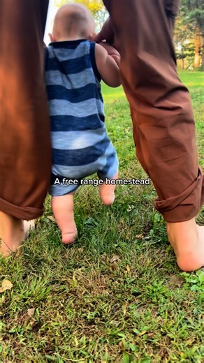 My dream #homestead #homesteading #freerange #homesteader | Happy Acres Homestead