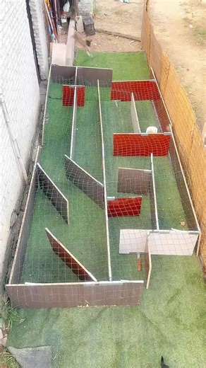 Exploring LIVE Incentive Programs for Low Followers