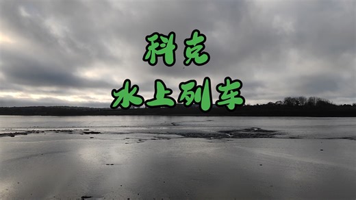 【真正的海上列车】科克市郊铁路风景掠影
