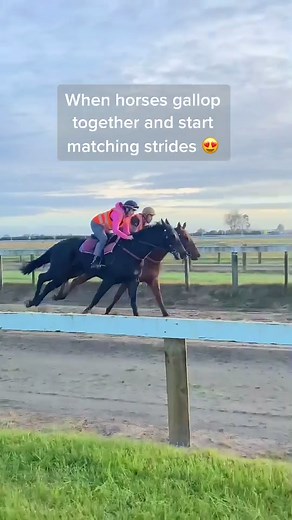 Galloping Horses: Matched Strides in Horse Racing