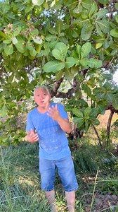 O macaco 🙊 acertou #funny #viral #humor | Ivan comedia