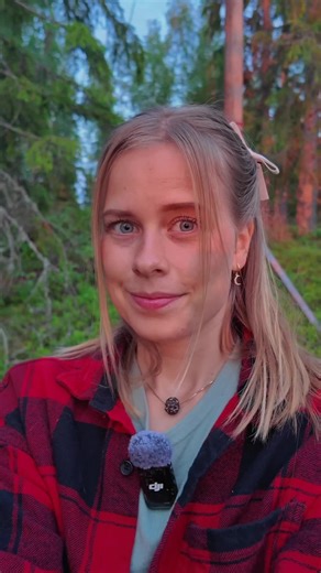 The nightless nigh 🌞 Happy Midsummer 🌿✨