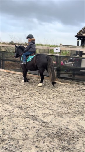 Enjoying Our Second Ride on Bella the Pony