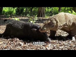 Creature that has walked the Earth for millions of years.