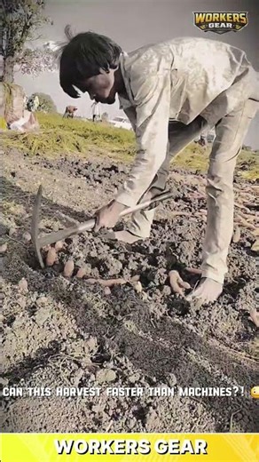 Powerful Manual Pickaxe Tool for Digging and Harvesting in Tough Farming Soil Conditions