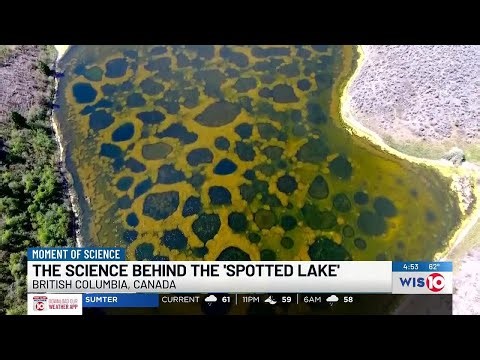 Moment of Science: Spotted Lake