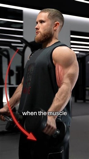 Negative vs Positive: Which Actually Matters Most For Gains?