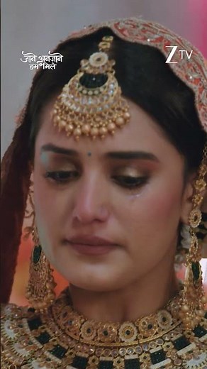 Jaane Anjaane Hum Mile | Ep 357 | Zee TV HD