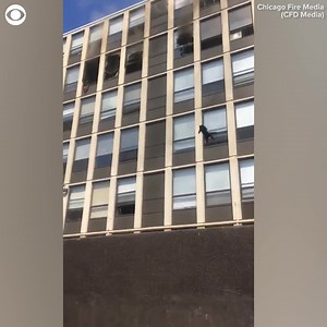 Maybe cats really do have nine lives! Here’s the moment a cat jumped from a fifth-floor window of a burning building in Chicago on Thursday. The fire department tweeted, “Cat hit grass, bounced, and walked away!” | https://bit.ly/3tREIX7 | 10TV - WBNS