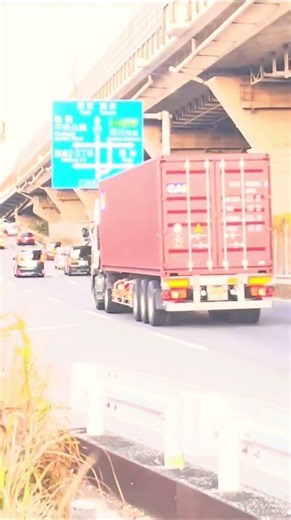 迫力満点‼️大型海上コンテナトレーラー（CAI）通過‼️ #トレーラー走行動画