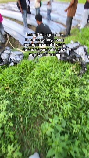 Understanding the Challenges of TVL Agriculture Students