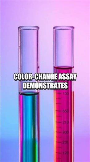 Kitchen Lab Five Fresh At-Home Demos