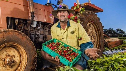 ‘Developers were knocking’: How an urban farm survived