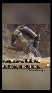 2.2M views · 57K reactions | Cree en ti 殺 | EMMA Coach | Facebook