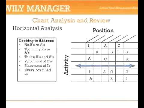 RACI Analysis - A 3-Minute Crash Course