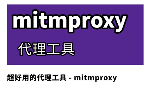 好用的代理工具《mitmproxy》