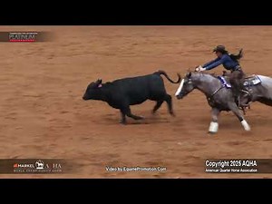 2025 Amateur Working Cow Horse World Champion