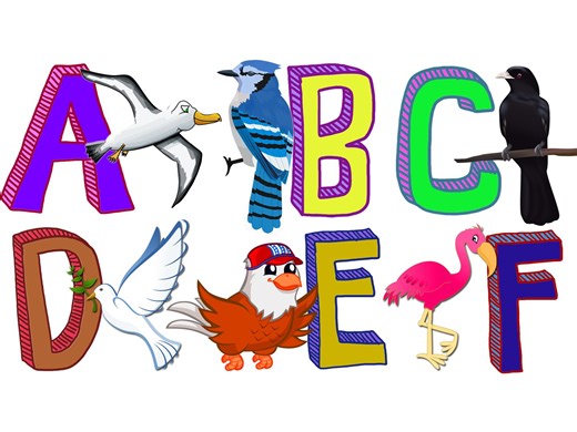 鸟儿字母A到Z | Birds ABC