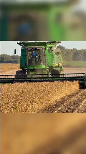 Soybean Harvesting With John Deere Combine - Fall 2025