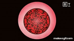 The 5 core principles of life | Nobel Prize-winner Paul Nurse on Make a GIF