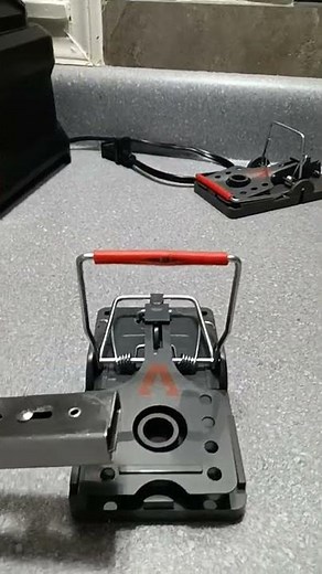 Power-kill rat trap review