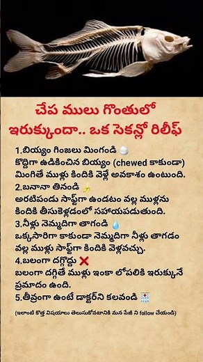 Fish Bone Stuck in Throat Try This