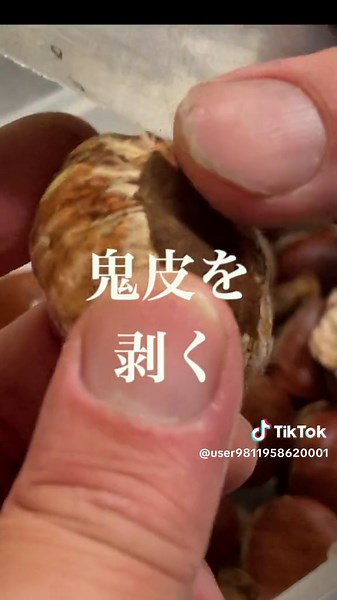 栗の甘露煮の作り方を紹介