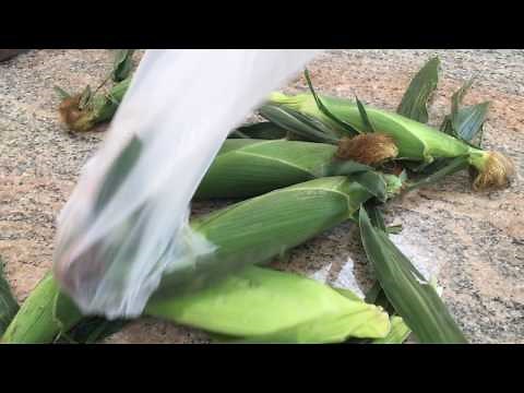 How to Bag Your Corn the Right Way