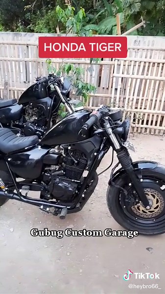 Honda Tiger Custom Sportster