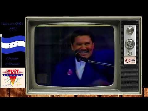 Banda blanca Viña del Mar 1982