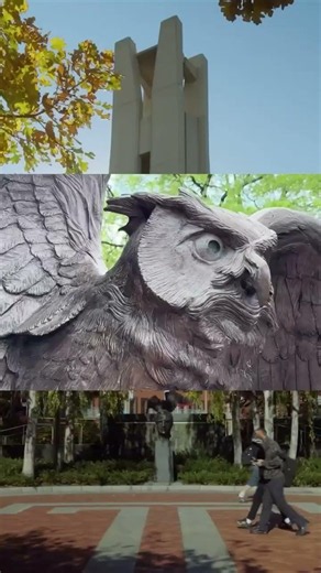 Your Reason to Choose Temple.