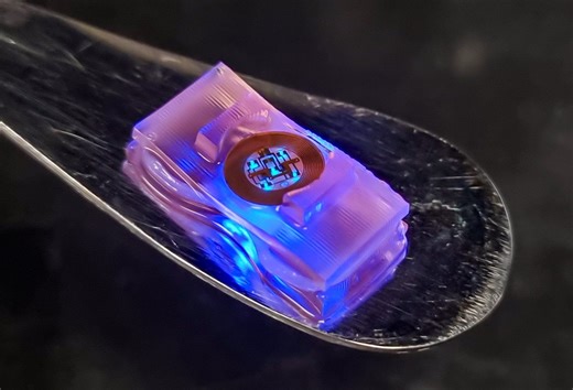 Grainger Engineers Advance Field of Biohybrid Robotics