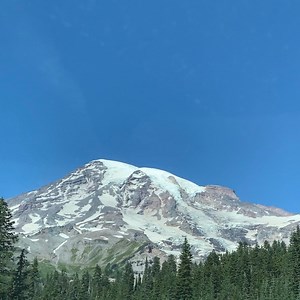 Tiny Tim Concert & Tour History  | Concert Archives