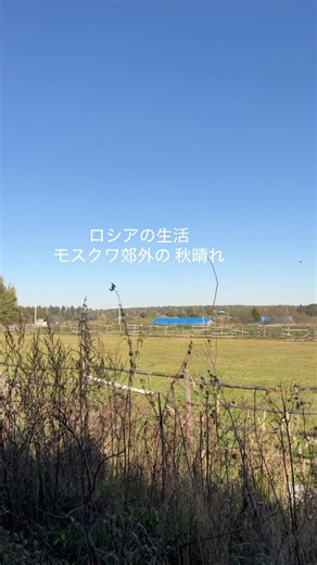 #旅行 #ロシア #秋 #モスクワ #ロシア生活