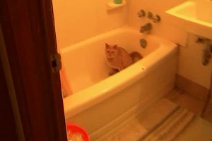 ... it's 40 below and I don't give a ..#%*&@%... and it's off to the Rodeo ...