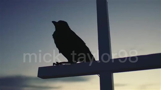 Exploring the Terrifying Outback with Mick Taylor in Wolf Creek