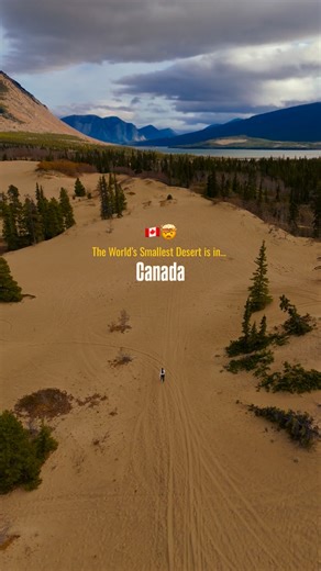 Ankita Vijay Pable on Instagram: "🌵 Get ready for an adventure like no other! Explore Carcross Desert, the world's smallest desert in Yukon, Canada 🇨🇦. Hike, sandboard, and snap epic photos amidst the stunning sand dunes. Afterward, cozy up in Carcross town with cafes, shops, and breathtaking lake views. ✨ Fun fact: This 1 sq mile wonder feels like a mini Sahara! 📍 Location: Carcross, Yukon 🕒 Best time to visit: Summer for sunny vibes & clear skies #CarcrossDesert #YukonAdventures #CanadaTr