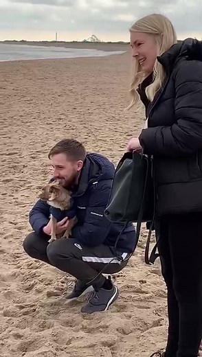 Nan Falling Over: Hilarious Fail Compilation