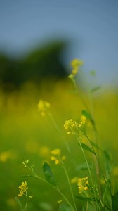 66K views · 2.5K reactions | 懶 | Dory | Facebook