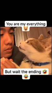 173K views · 4.8K reactions | Gags ka ming ming藍 #memes #ctto #onlymemes #MustWatch #meme2025 | Laugh On Loops | Facebook