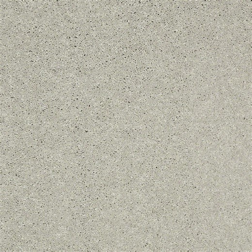 Check The Home Depot's Q&A Before Buying: Home Decorators Collection Brave Soul II - Sterling - Gray 44 oz. Polyester Texture Carpet - Installation Required