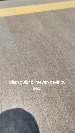 SMOOK 1991 (@smook14)’s videos with оригинальный звук - 𝓐𝓡𝓚