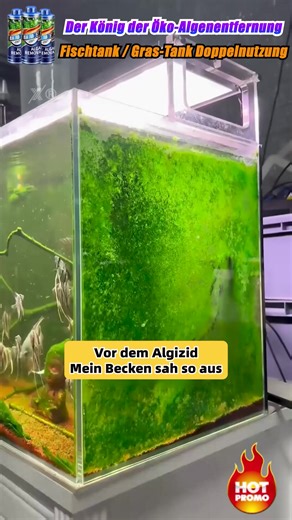 🌿 KAUFEN 2 ERHALTEN 3! ✨ Crazy Algenentferner - Konzentrierte Formel für Schnelle Ergebnisse in Teichen und Gärten 🏞️💦 🌟 Doppelte Wirkung – Beseitigt Algen und beugt neuem Wachstum vor 🔒 Umweltfreundliche Rezeptur – Unbedenklich für Fische und Pflanzen ⚡ Schnelle Ergebnisse – Sichtbare Wirkung innerhalb von 24 Stunden 📏 Hochkonzentriert – 1 Liter behandelt bis zu 20.000 Liter Wasser 🛡️ Einfache Anwendung – Gießen oder sprühen, je nach Bedarf 📦 Komplett-Set – 3 Flaschen inklusive Dosierhi