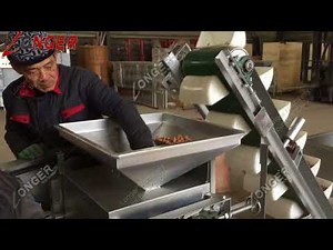 Small Hazelnut Cracking Drying Machine|Commercial Chestnut Shelling Processing Equipment Plant