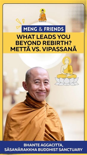 What Leads You Beyond Rebirth? #Mettā vs. #Vipassanā #buddhistteachings