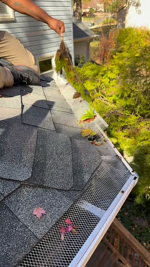 When your gutters start growing a mini forest 🌿😳…our techs got you covered! | A.P. Home Services LLC