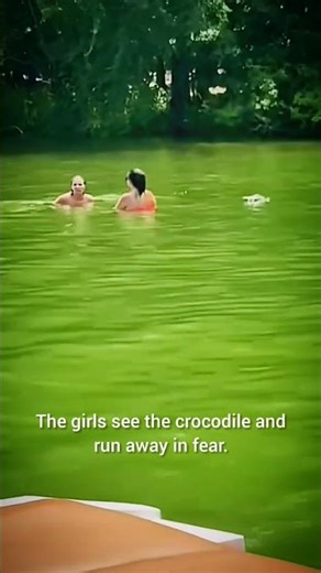 Crocodile fun 😂 #treding #shorts #youtubeshorts