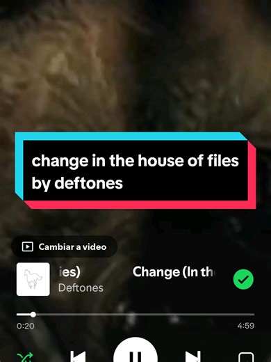 Change un the house of files de deftones explicada o bueno por lo menos el intento 😅 @ProtoPurity